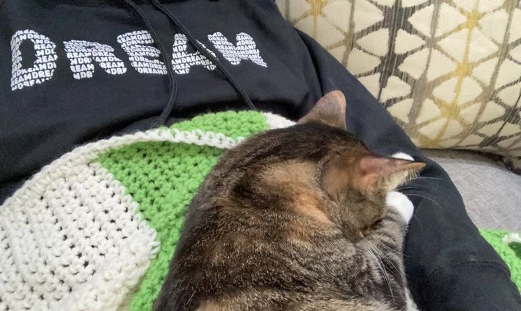 coffe_bones's tweet photo. Happy Father’s Day to my favorite irl cat dads to ✨Patches My Beloved✨ #smiletwt #flametwt #patches https://t.co/smIPEqPFlU