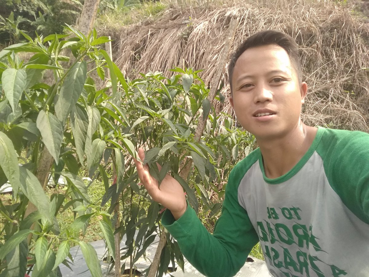Thank you Allah.🙏🙏🌱