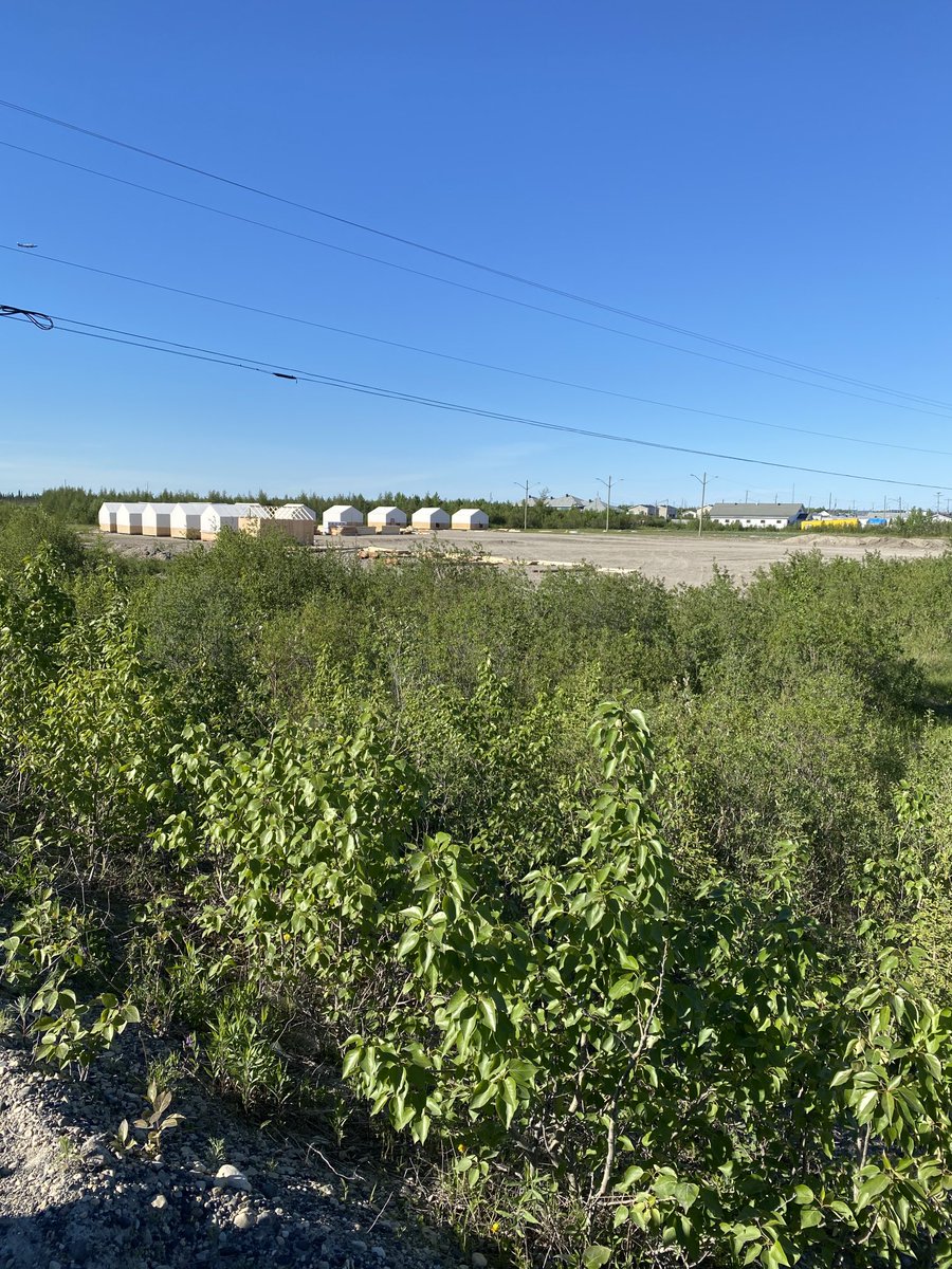 Anne Germond tweet media