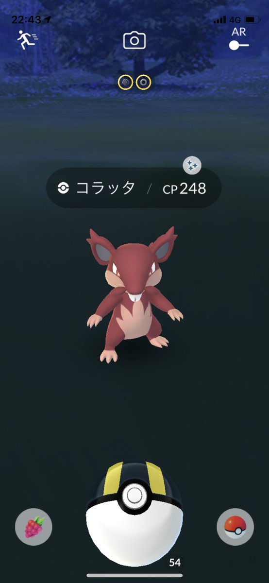 ポケモンgo ポケモン出ない コラッタ Twitter પર શ ધ