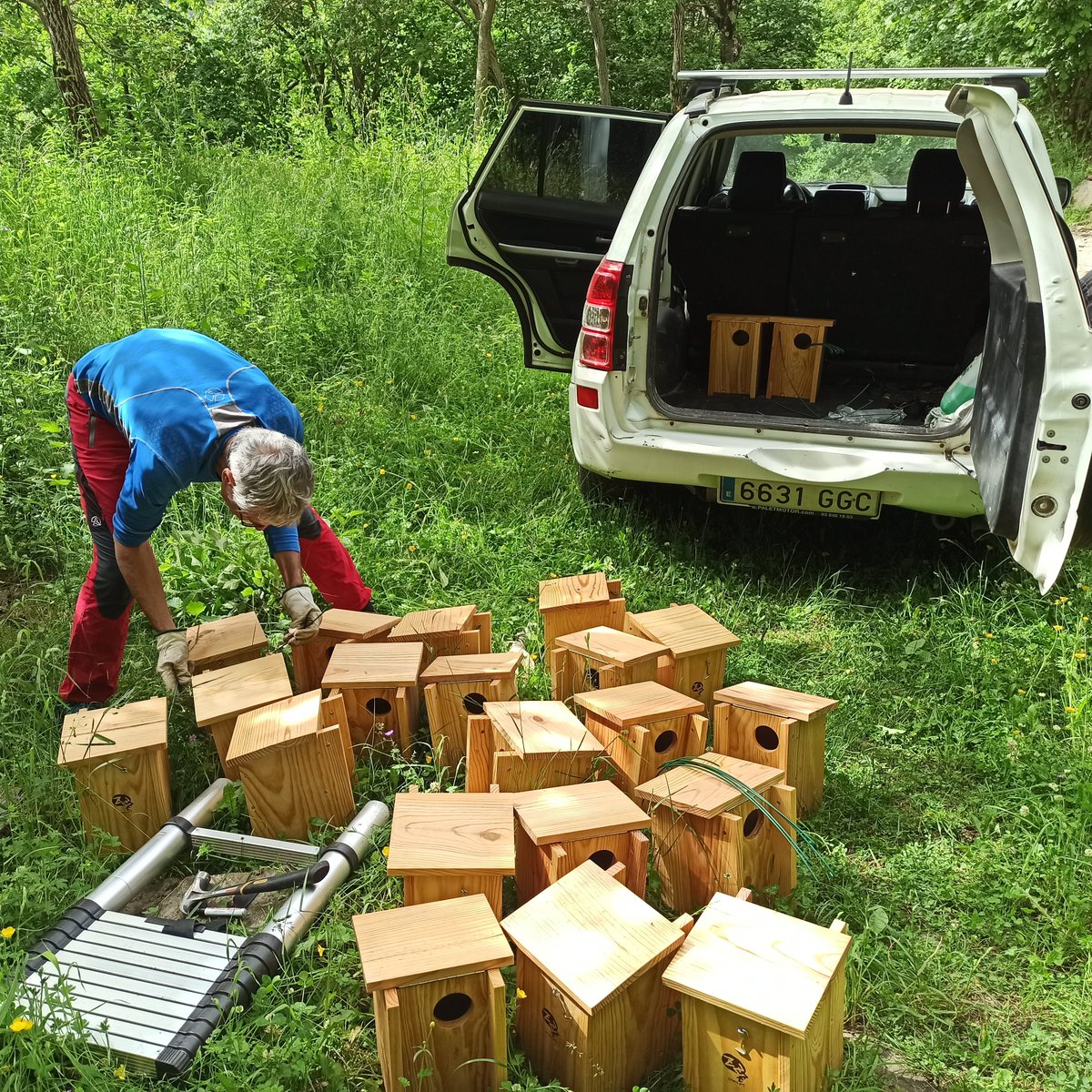 ProjecteLiro's tweet photo. El @ProjecteLiro continua creixent ⏫⏫
Ampliem la xarxa de seguiment al #Pirineu amb una nova estació de #caixesniu en hàbitat de #roureda
Jornada intensa de camp🥵 però satisfets per la feina feta!!!
Esperem amb ganes els primers ocupants #glisglis 🐭😍 https://t.co/7UchXGiMs1
