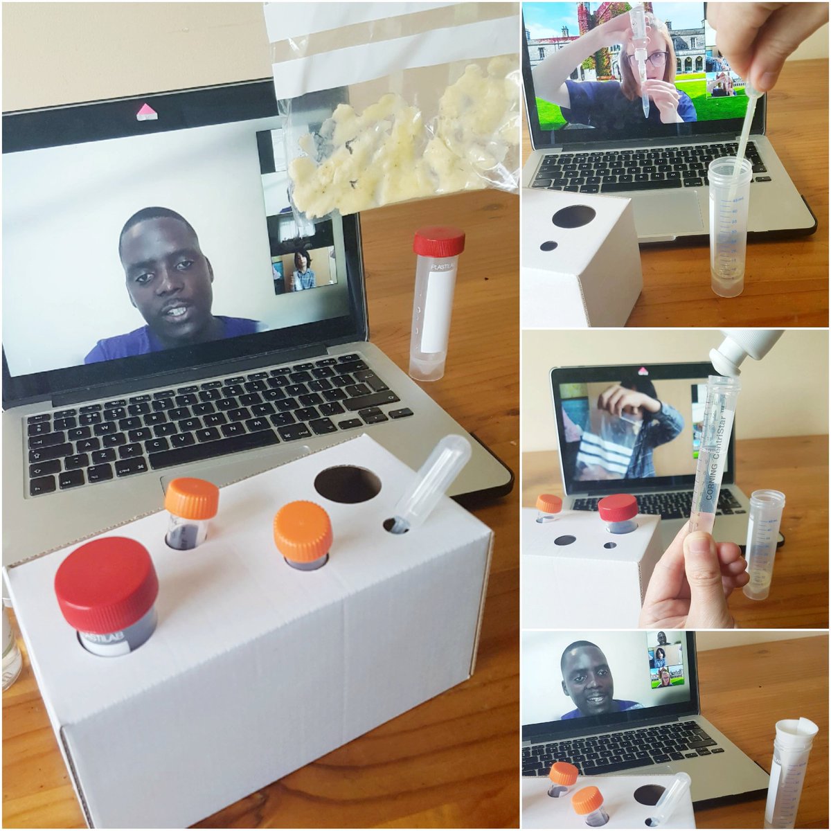 HardimansGalway's tweet photo. Discovering DNA together for #WorldRefugeeDay 🔍 Home experiments with students &amp; researchers from NUI Galway. @Cellexplorers 🔎 #FantasticDNAatHome #CellExplorers #ScienceRoleModels https://t.co/rAn2SdZRBc