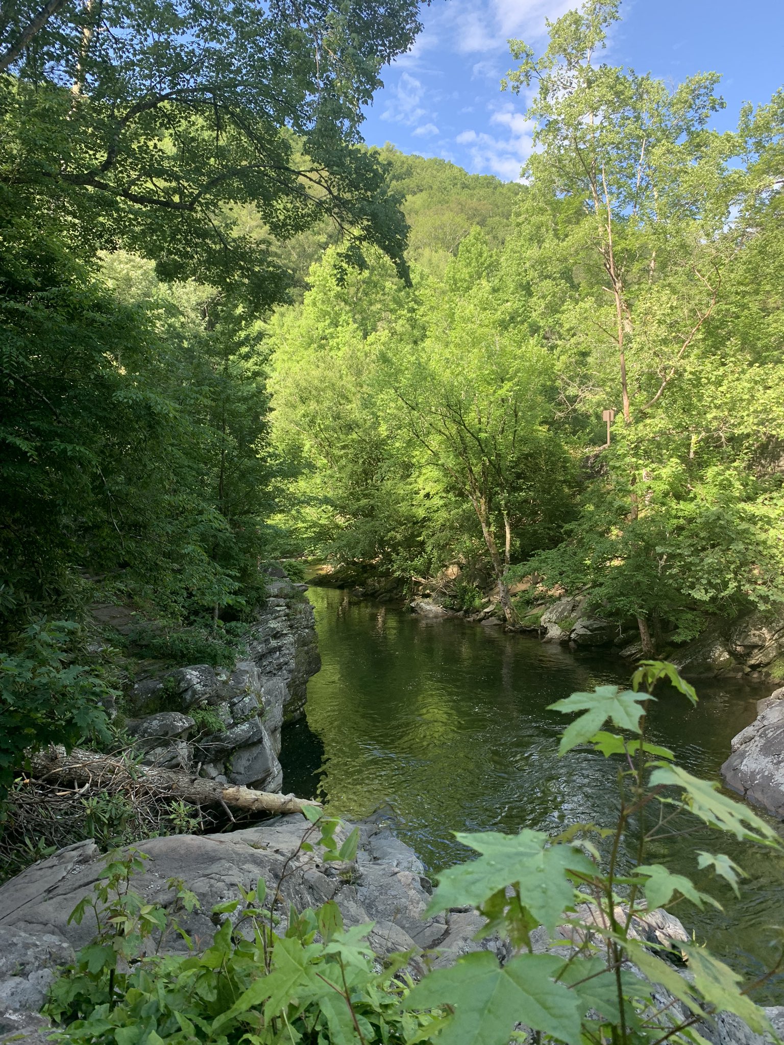 TW Pornstars - LauranVickers🍑. Twitter. It’s so beautiful and peaceful