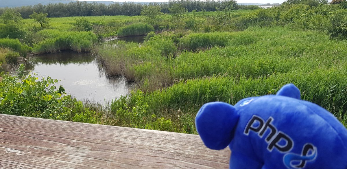 peter_kokot's tweet photo. InPHPinity @elePHPant_off in one if its natural habitats prepairing for its next 8.1 reincarnation.

PHP 8 new features in general so far:
https://t.co/mpFa3QHHlv

Thanks to @faguo and @Elroubio 🚀

#somehashtag #PHP #vacation 🌴 https://t.co/KL2TEycZyz