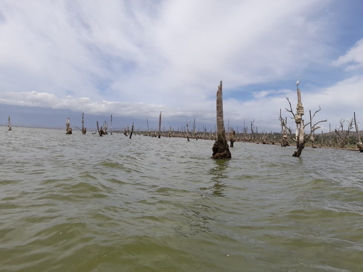 Estamos en el Lago Enriquillo, el cuerpo de agua hipersalino más grande de Las Antillas, especial por su biodiversidad. #PasionPorRD #MiturenelSur #TuristaResponsableRD #ViveRD
#aventurajovenrd
instagram.com/p/CQWQ0zKrpv9/…