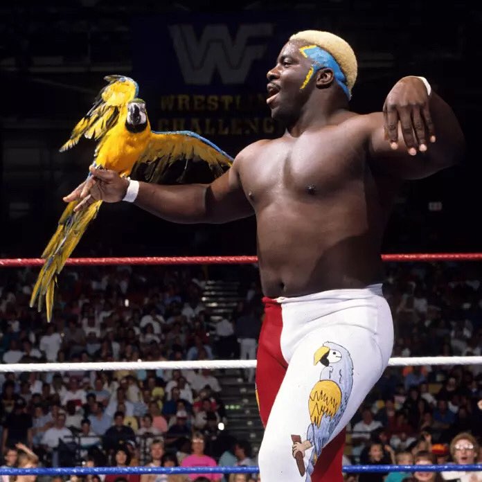 Happy Birthday Koko B Ware  