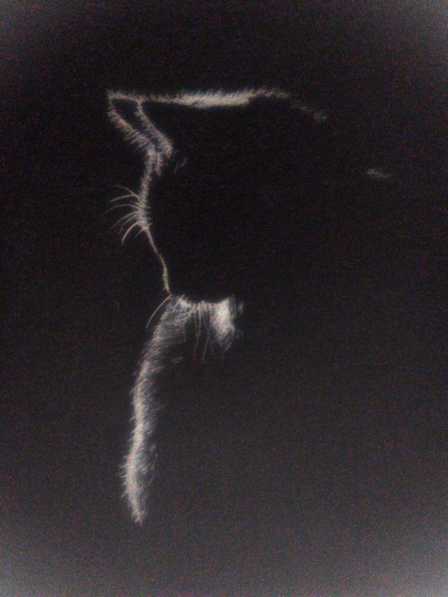 RefSketch's tweet photo. Anabul. #artidn #oldstuffs https://t.co/goQ6apXUdp