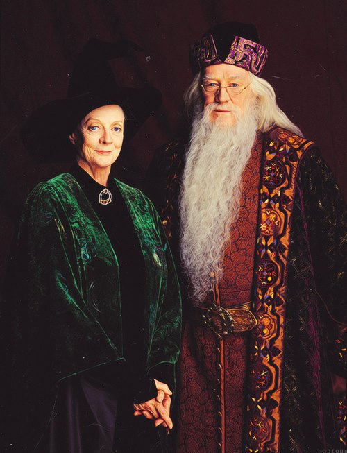 Minerva McGonagall on X: Harry Potter e a Pedra Filosofal é um