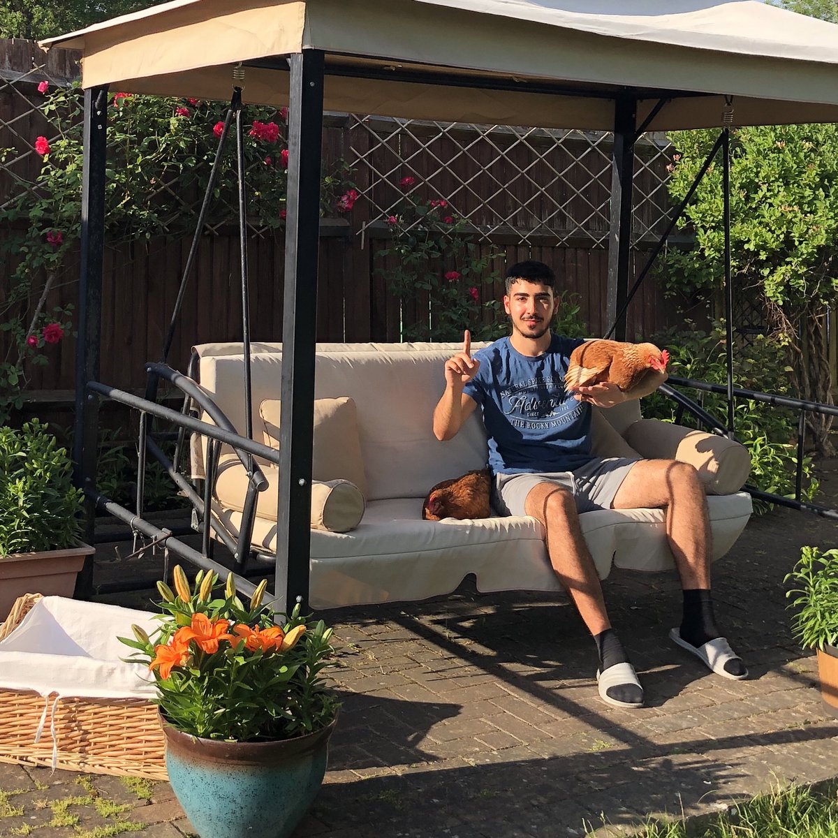 wallysfax's tweet photo. me and my garden birds, one chick at a time ☝🏽🐔 https://t.co/TsDY0KTzHA