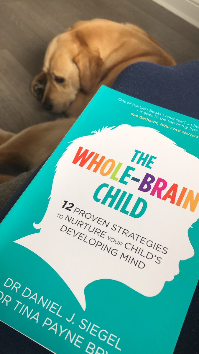 Ashton Glackin (@ashtonglackin) on Twitter photo Sunday reading, recommended at our recent #Trauma training. Looking forward to learning more about #attachment theory and how our early relationships and experiences impact brain development.
#learningdisabilities #occupationaltherapy <a href="/NESnmahp/">NESnmahp</a> <a href="/NHSL_LDOT/">LD OT</a> <a href="/NHSLanarkshire/">NHS Lanarkshire</a> <a href="/GcuOcc/">GCU Occupational Therapy</a> Sunday reading, recommended at our recent #Trauma training. Looking forward to learning more about #attachment theory and how our early relationships and experiences impact brain development.
#learningdisabilities #occupationaltherapy <a href="/NESnmahp/">NESnmahp</a> <a href="/NHSL_LDOT/">LD OT</a> <a href="/NHSLanarkshire/">NHS Lanarkshire</a> <a href="/GcuOcc/">GCU Occupational Therapy</a>