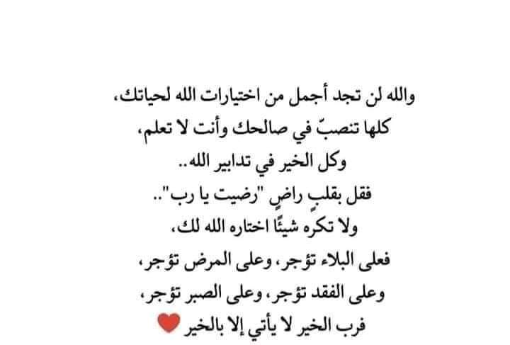 Messaouda (@messaou76847762) on Twitter photo 