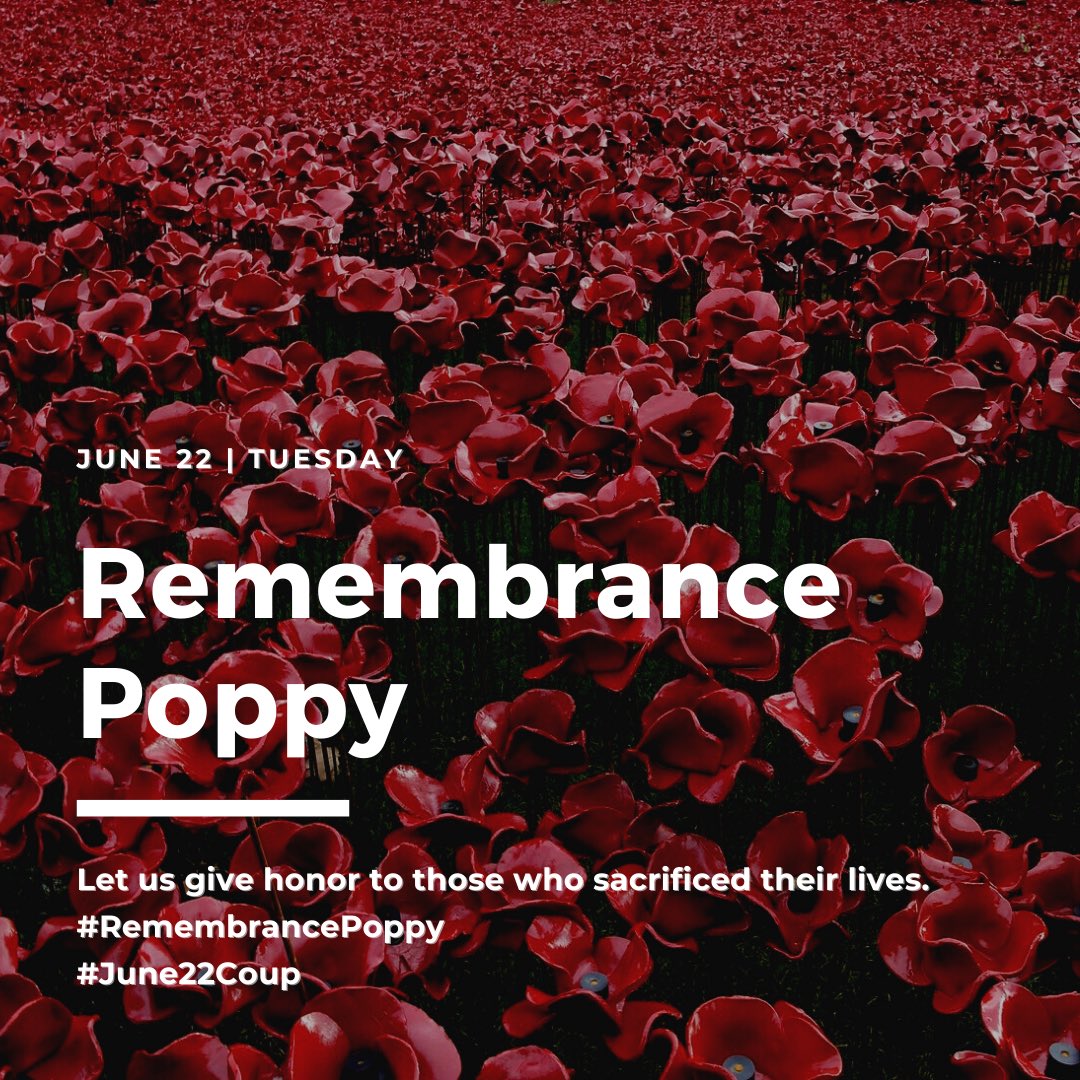 Haruonchill's tweet photo. Lets join in “RemembrancePoppy” campaign on June 22 to represent immeasurable sacrifice made by our Martyrs and lasting memorial to those who’ve been killed in SAC’s terrorism. Make red poppy crafts or poppy wreath crafts and join. 🌺

#RemembrancePoppy
#WhatsHappeningInMyanmar https://t.co/3P9L1zMpHj
