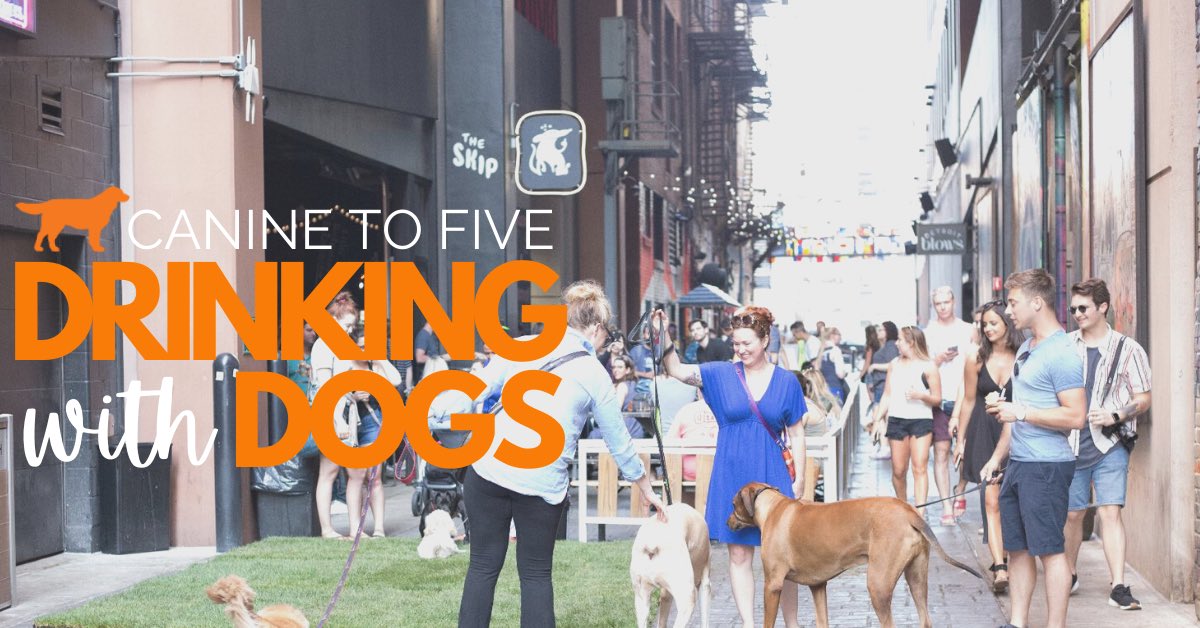 Caninetofive's tweet photo. Drinking with Dogs is back! Our first stop is The Skip on Wednesday, July 14th at 6PM. Grab your leash-friendly pup and join us for some drinks at this outdoor venue ๐น๐พ #drinkingwithdogs #detroit #dogfriendlyevent https://t.co/lVfl7MZdhJ