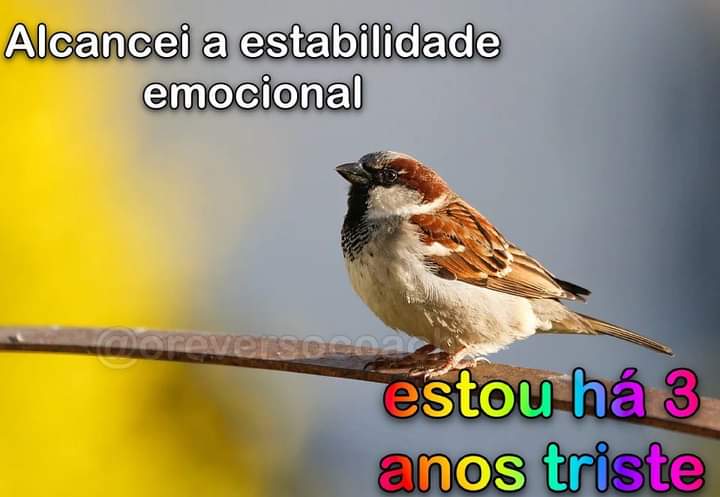 se a terra não é plana como explica o céu reto? (@moreiraviw) on Twitter photo 