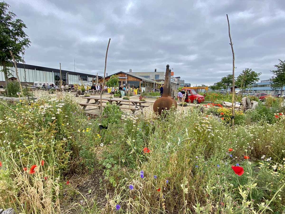NatureDesks's tweet image. #postbode voor een dag. 27km door Amsterdam om 🌳💦🗺 langs te brengen. Incl. een #weeting en twee koffies ;) urbannature.amsterdam