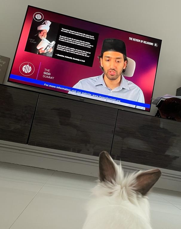 What an amazing, faith-inspiring, reaffirming event! We have been glued to the screen all weekend... including our bunny! 🐰
Alhumdolillah, blessed to be #Ahmadi!  #TheGodSummit #TheReviewOfReligions #ReviewOfReligions @ReviewReligions