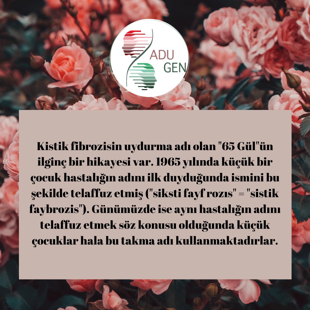 ADUGEN21's tweet photo. Bunları Biliyor Muydunuz?✨

#KistikFibrozis #kistikfibrozisilaçlarıödemeyealınsın #KFBekleyemez #kistikfibrozisiçinsesimizol 
@CihanTastan_PhD https://t.co/HZByw6gxPP