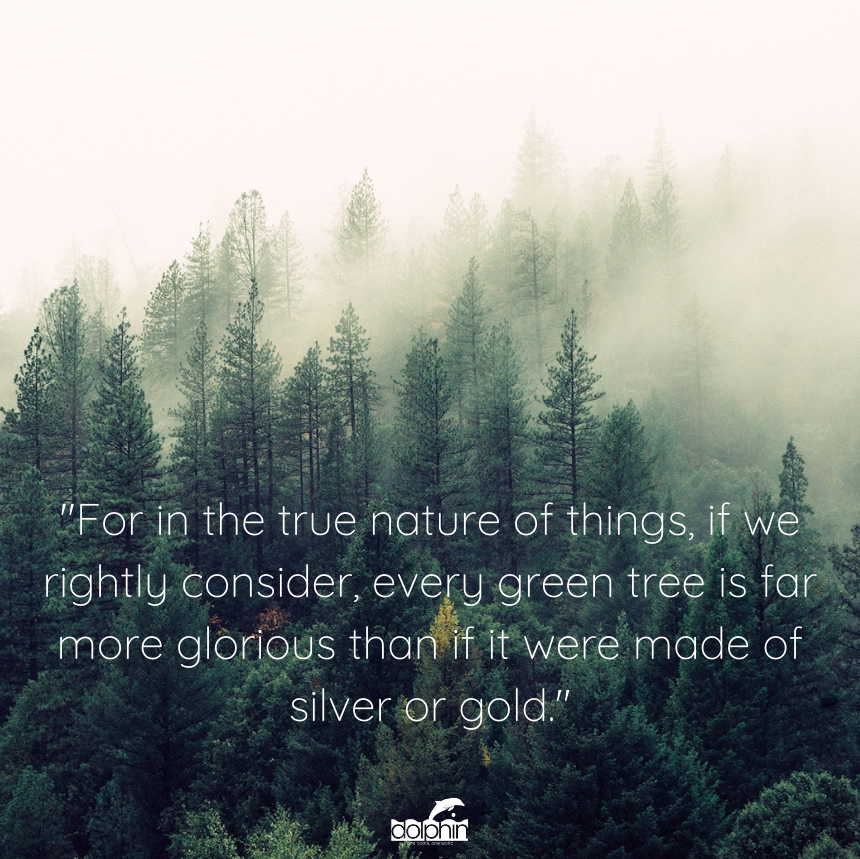 There's magic to be found in the wilderness 🌿