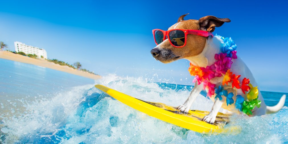 rocketmiles's tweet photo. Happy #FirstDayOfSummer! We hope you make the most of the next 90 days.
.
Tell us: what's your travel destination for this summer? โ๏ธ
.
#summerbegins #summertime #vacationfaster https://t.co/wxkxk2z08X