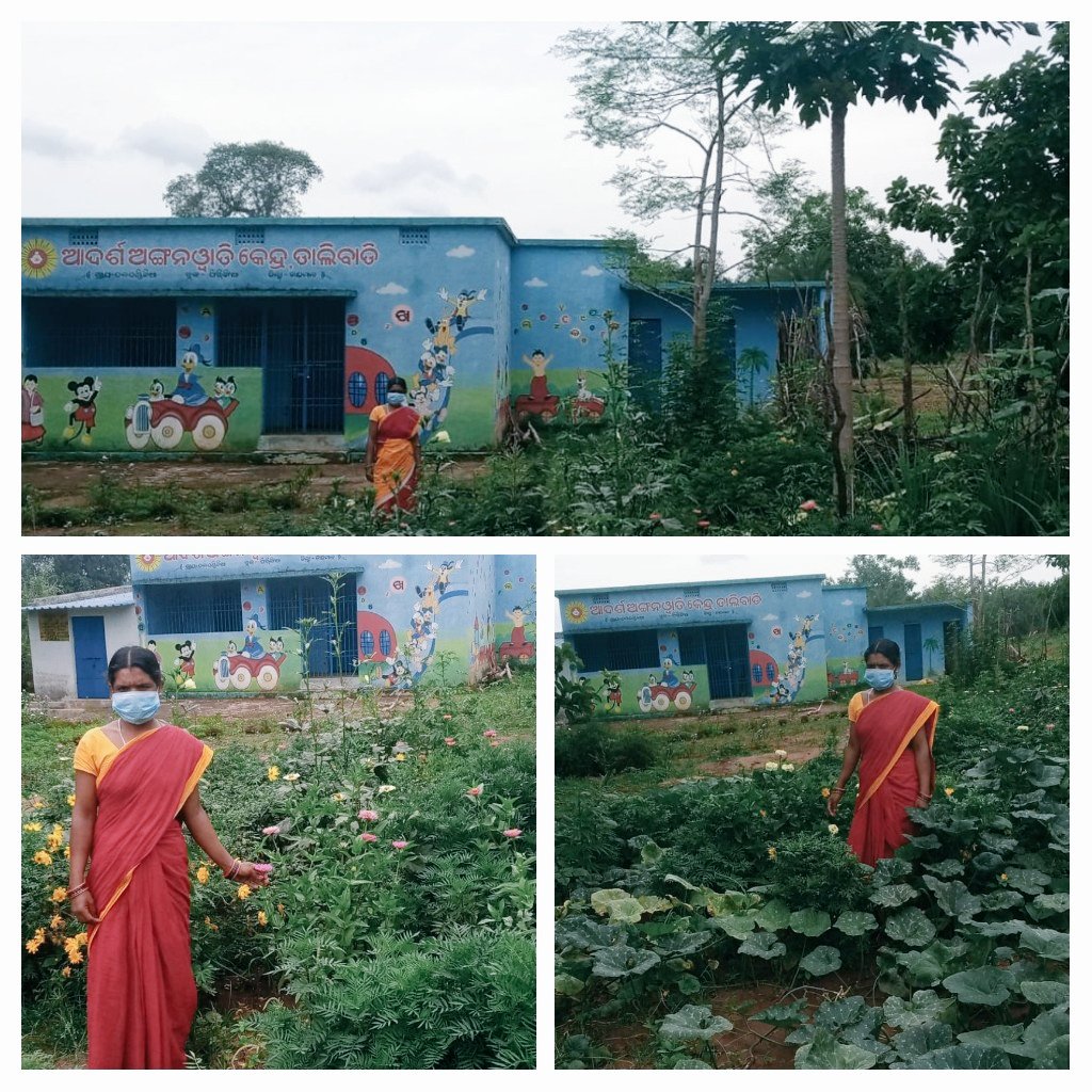 WCDOdisha's tweet photo. The lush green '#MoUpakariBagicha' not only enhances the nutrient quality of the food plate, but also adds to the beauty of the Anganwadi Centres.

A beautiful site from Phiringia of Kandhamal district.

@MinistryWCD @CMO_Odisha @SecyChief @secretary_wcd @DMKandhamal https://t.co/EstJuqoVKu