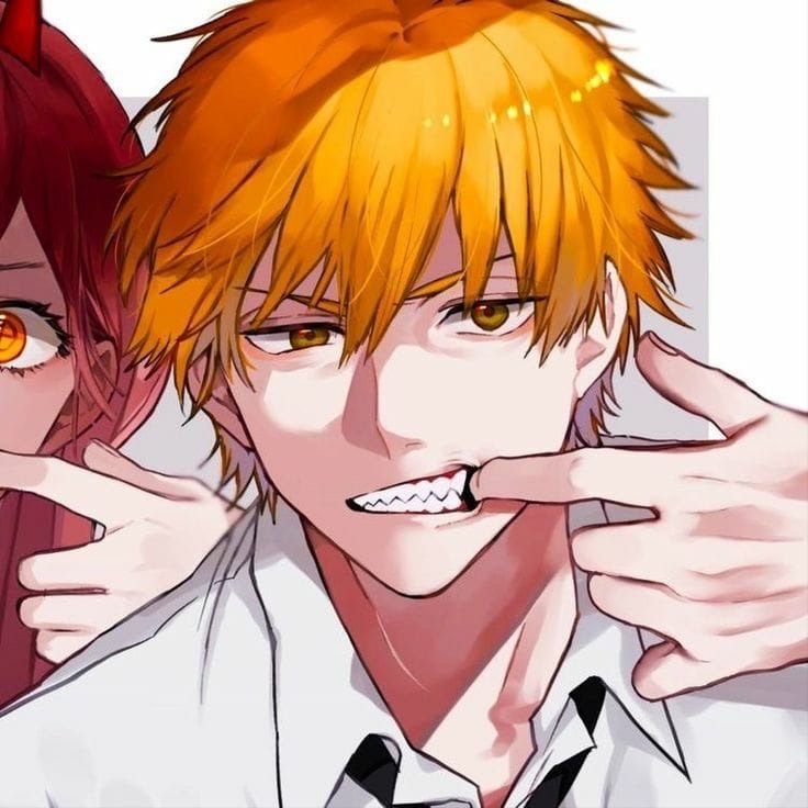 Featured image of post The Best 16 Power Chainsaw Man Matching Icons
