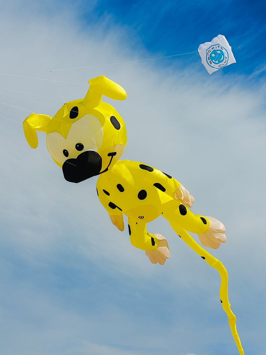 BercKite's tweet image. 1er vol, pour le nouveau venu au Club.
Un beau Marsupilami de chez R-SKY