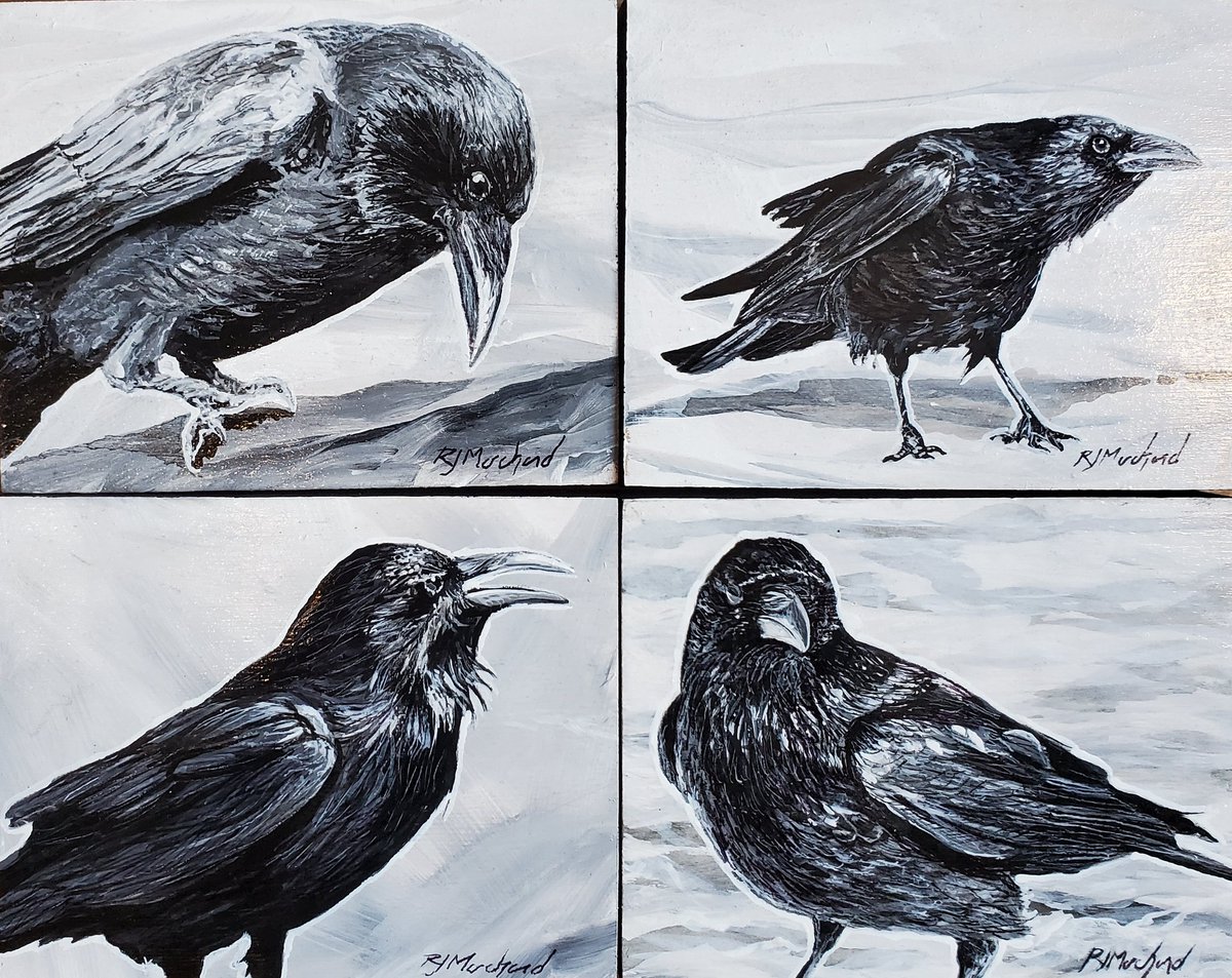 The Dart Gallery tweet media