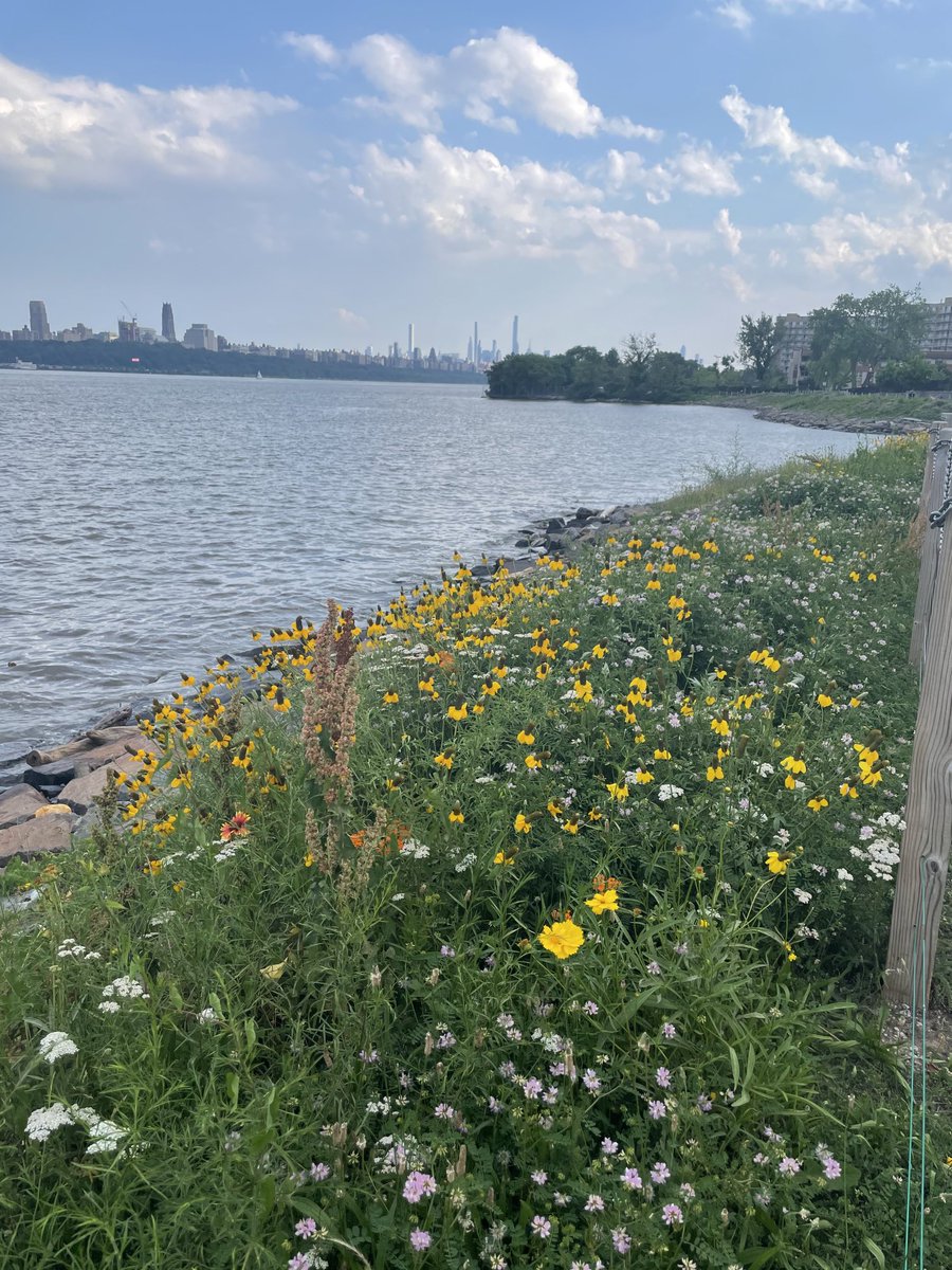 EdgewaterNJCom's tweet image. #EdgewaterNJ #HudsonRiver