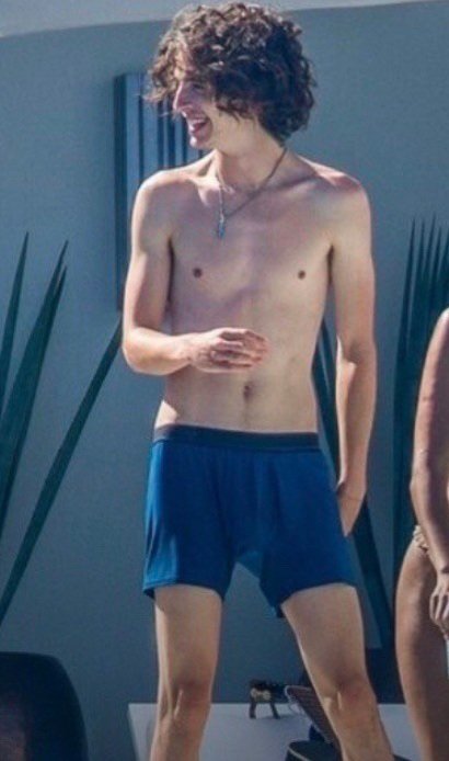 Famous Bulges on X: “Timothée Chalamet bulge 🍆 https://t.co 