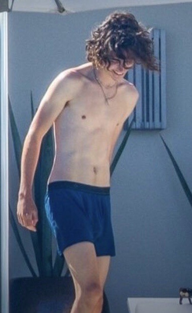 Famous Bulges on X: “Timothée Chalamet bulge 🍆 https://t.co 