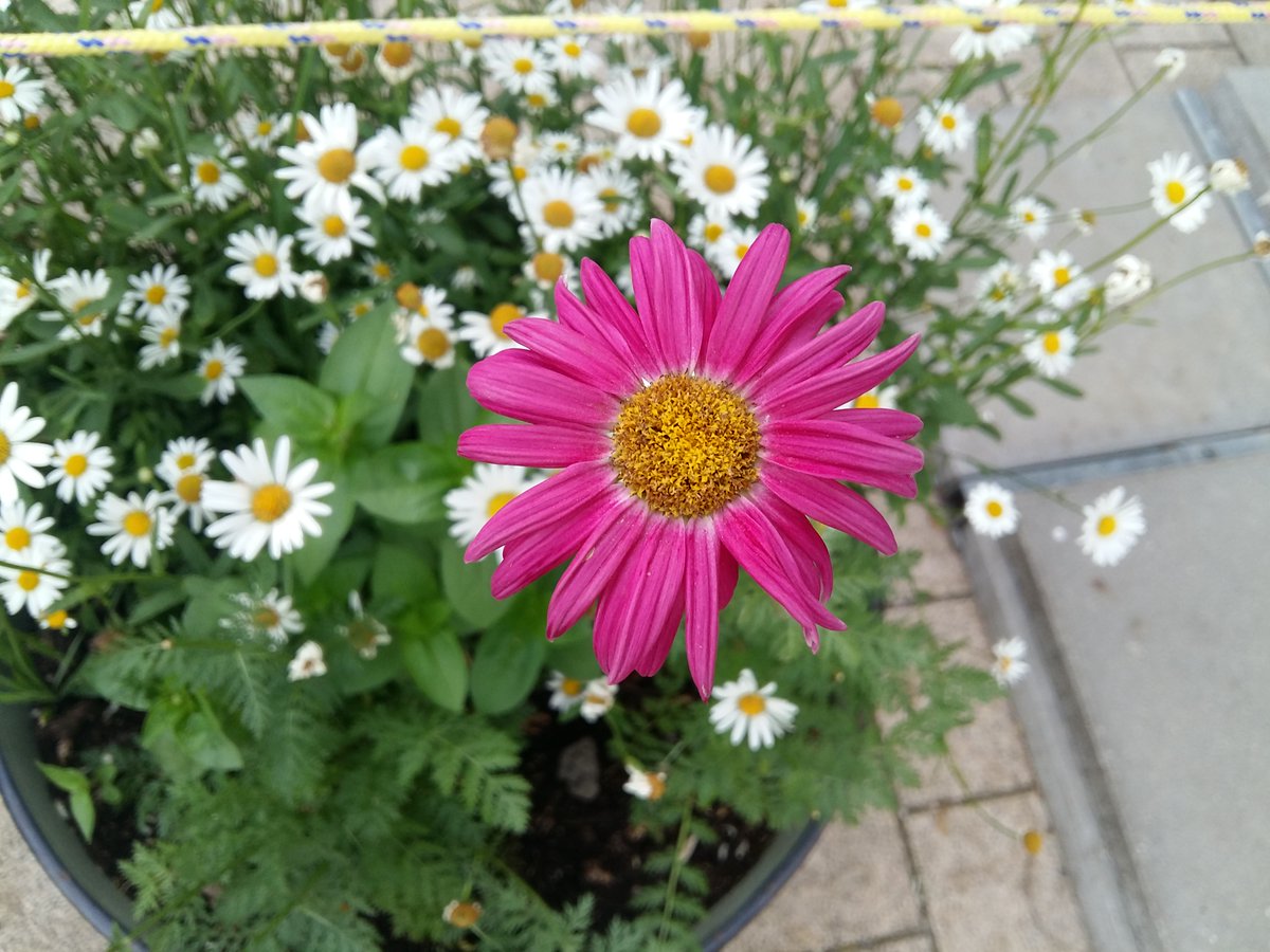 Theres146's tweet photo. Gute Nacht ihr alle und morgen und übermorgen mach ich #Twitterfrei https://t.co/1qv74zPUCq