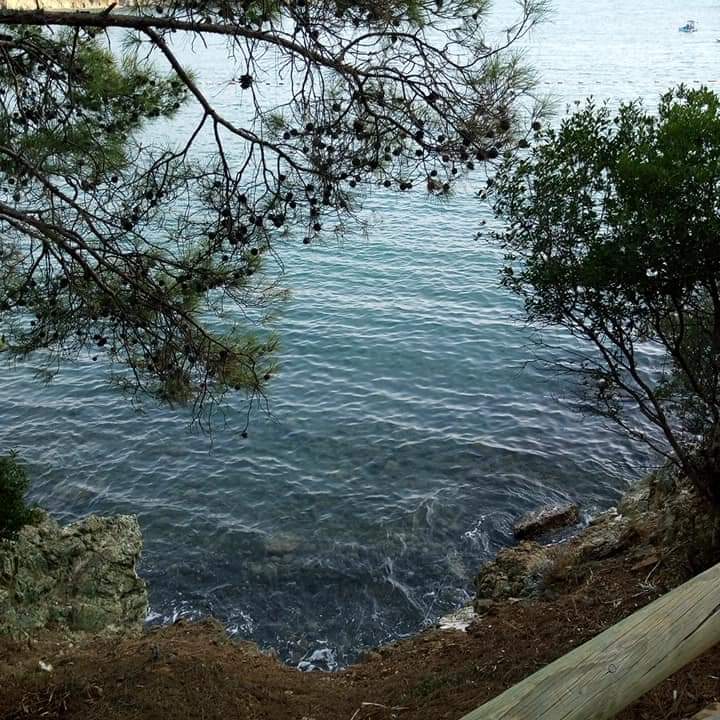 Bir şaman öğretisinden:

" Doğada hiçbir şey kendisi için yaşamaz.

Nehirler kendi suyunu içemez.
Ağaçlar kendi meyvelerini yiyemez.

Güneş kendisi için ısıtmaz.
Ay kendisi için parlamaz.

Çiçekler kendileri için kokmaz.
Toprak kendisi için doğurmaz.

Rüzgar kendisi için esmez