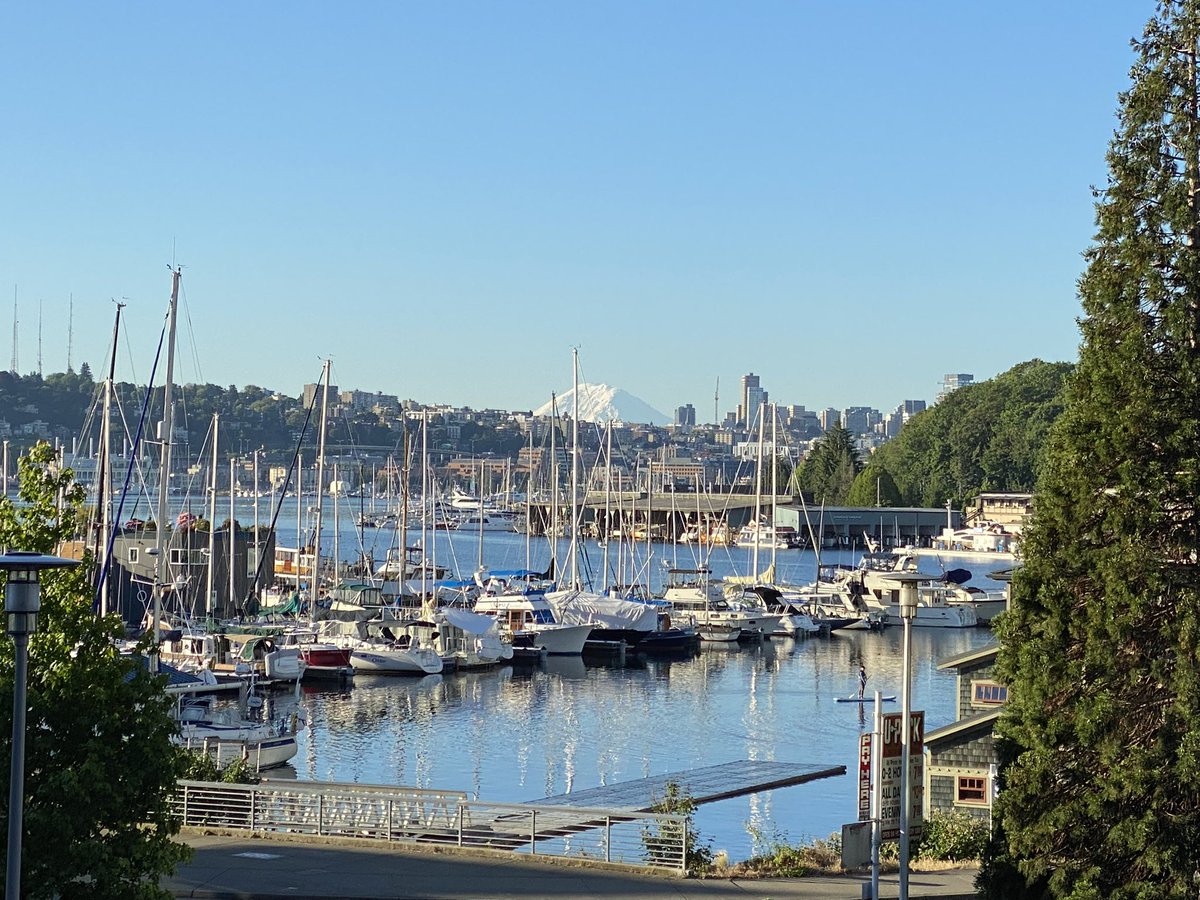 Enjoying #ASE2021 virtual experience? How about attending #ASE2022 in person? Please save the date (June 10-13) and plan on visiting Seattle WA next year when the <a href="/ASE360/">American Society of Echocardiography</a> Scientific Sessions return to the West coast!  👀 forward to work with chairs  <a href="/HeartDocSharon/">Sharon Mulvagh MD FRCPC FASE FACC</a> <a href="/BonitaEcho/">Bonita Anderson</a>