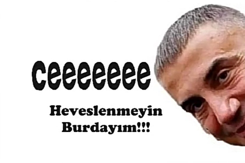 twitlerimikedi7's tweet photo. @sedat_peker Şuan bütün ülkenin 7-8 dakikalık Sedat Pekerin videosunu beklediğine yemin edebilirim ama kanıtlayamam 🤷♀️
#Loading10 #LannnBırak #sedatpeker10 https://t.co/kN2NscpPp3