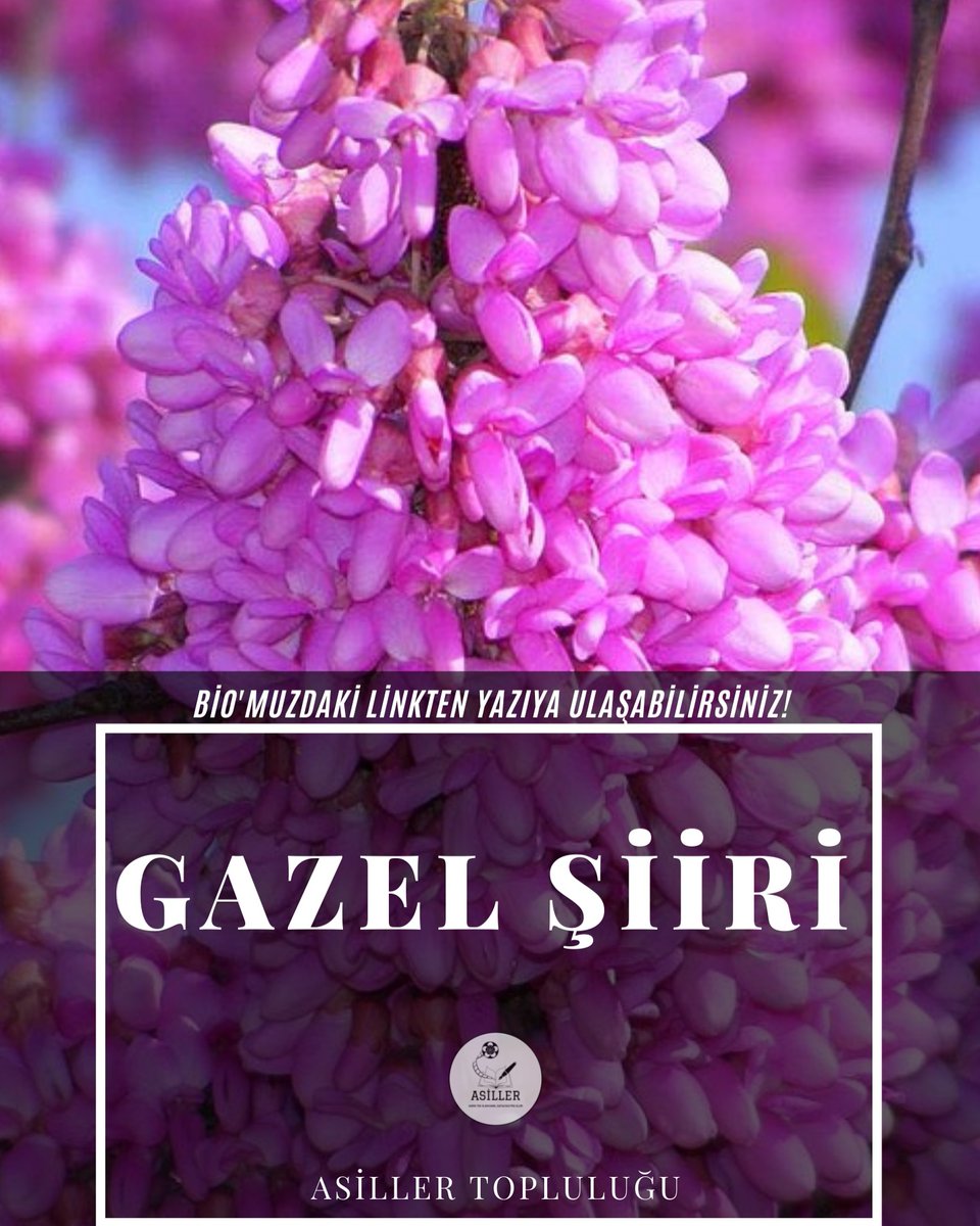 Yeni yazarımız Kaan Mert Başkesen'in "Nûrî" mahlası ile yazdığı Gazel'i sitemiz Asiller Topluluğu Özgün Edebiyat Bloğu'nda yayımlandı.
#aruz #tasavvuf #gazel #divanedebiyatı #aruzölçüsü #şiir #asillertoplulugu #özgünedebiyatblogu #sanat #asiller