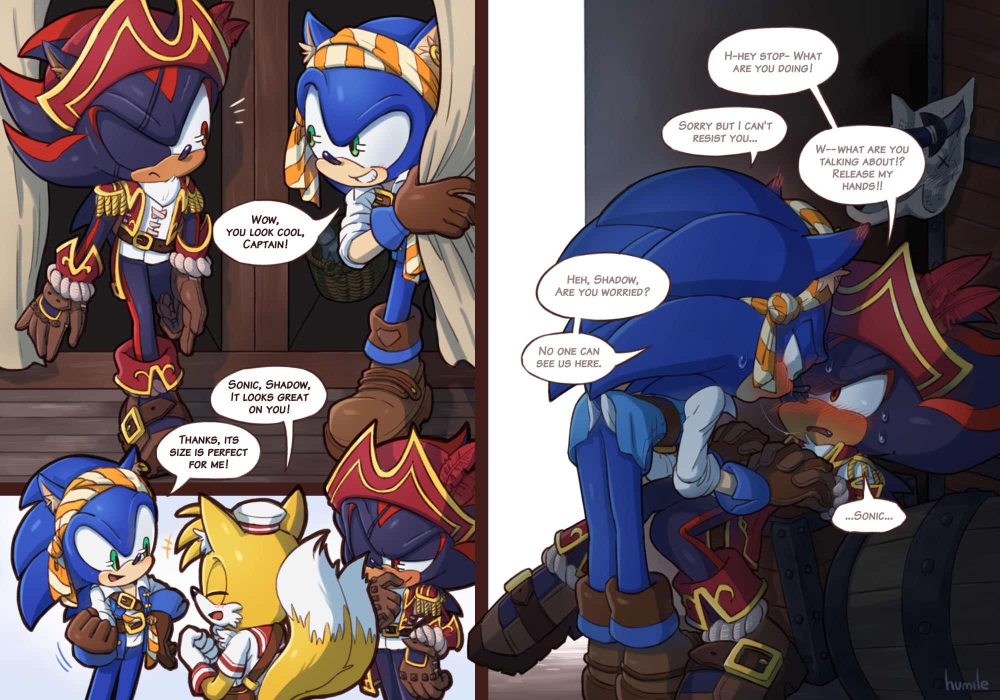 SONADOW: The Pirate and His Captain by sonicremix -- Fur Affinity