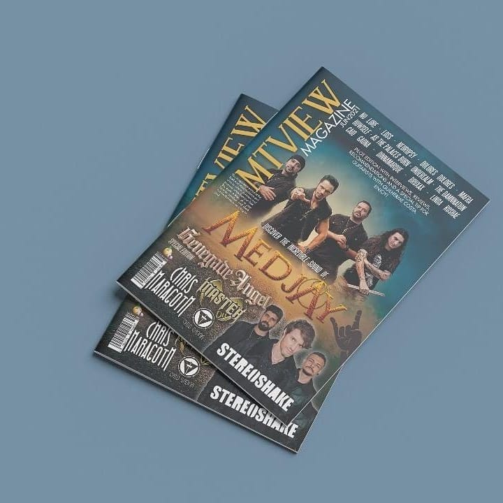 MTView Zine tweet media