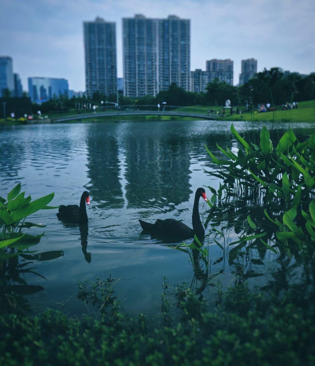 walkawayww's tweet photo. 晚安 https://t.co/kWQxlj0l5C