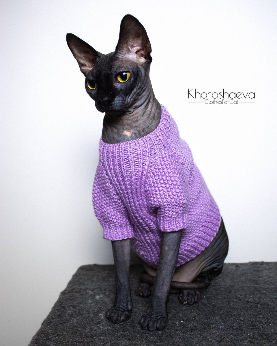 ClothesForCat's tweet photo. Excited to share the latest addition to my #etsy shop: Cat Sweater With Buttons Size M Knitting Pattern PDF + The pattern supplement, Knit On Straight Knitting Needles https://t.co/VuXTiv5d4T #knitting #birthday #halloween #catsweaterpattern #pdfcatsweater #knitcatswea https://t.co/VbVJBkCfdr
