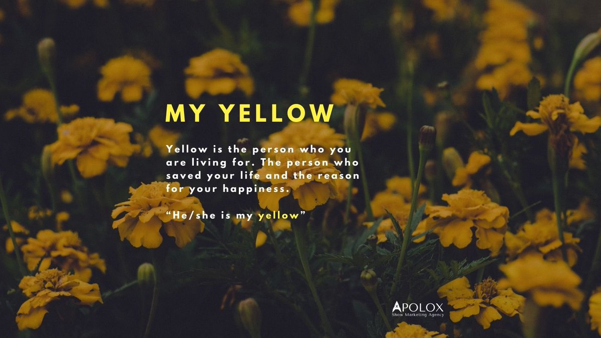 Hoy es el #YellowDay , seguro que sabéis que es🧐 
Para los despitados, es el día más feliz del año.

¿Pero sabíais que “yellow” también puede referirse a esa persona que te hace muy feliz?

#Apolox #diamasfelizdelano