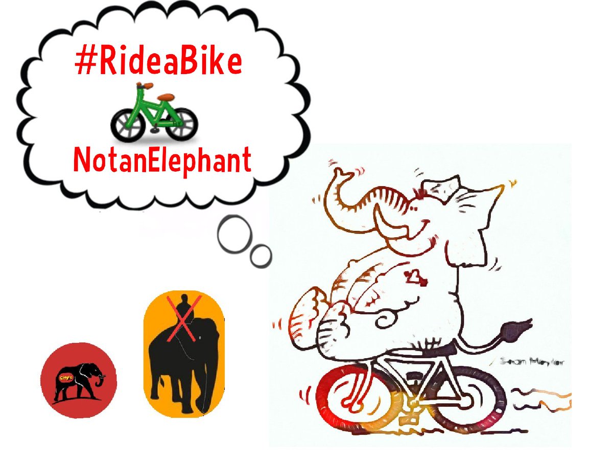 CitysFElephants's tweet image. #RideaBikeNotanElephant
🏍🚴‍♂️🚴‍♀️  🚫🐘