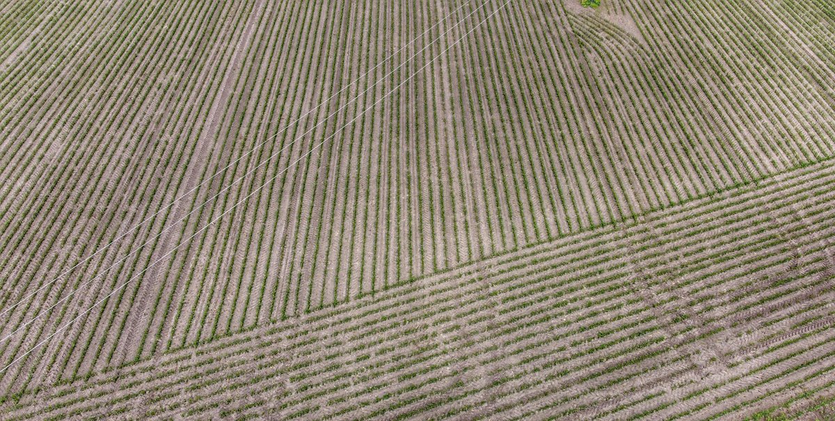 Farmers Field from 200ft in North Wales looks like carpet from the 80s #dronephotography #drone #NorthWales #field