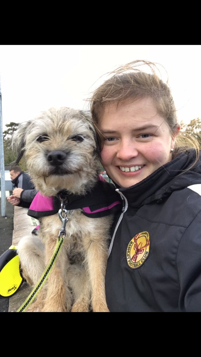 New Forest Groundhopper tweet media