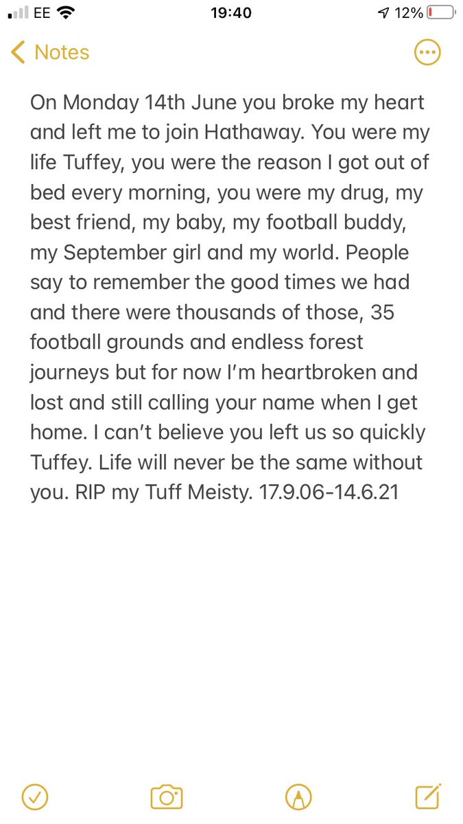 New Forest Groundhopper tweet media