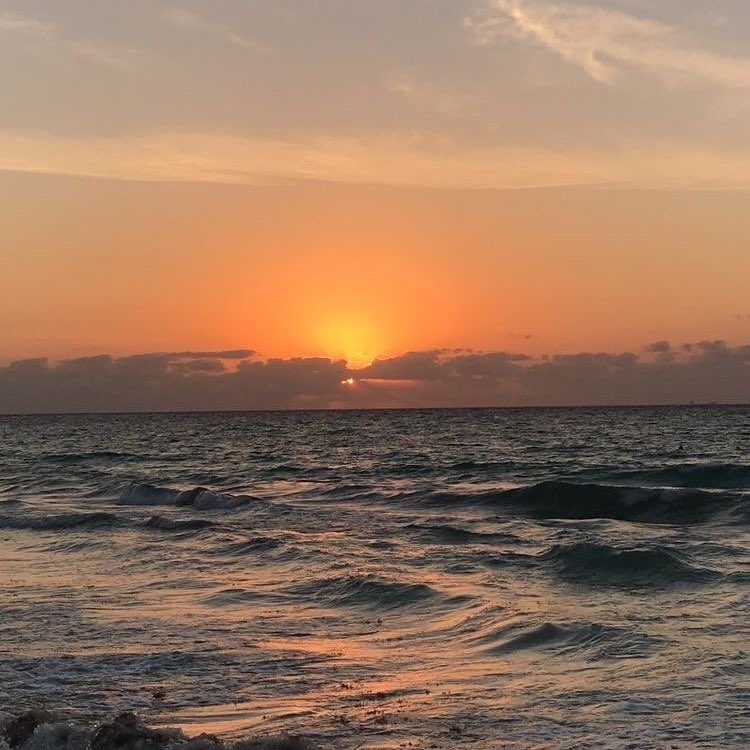 𝒎𝒐𝒐𝒅𝒆𝒍𝒊𝒄𝒂𝒕𝒆 tweet media