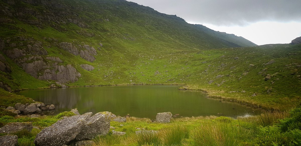 John Foley tweet media