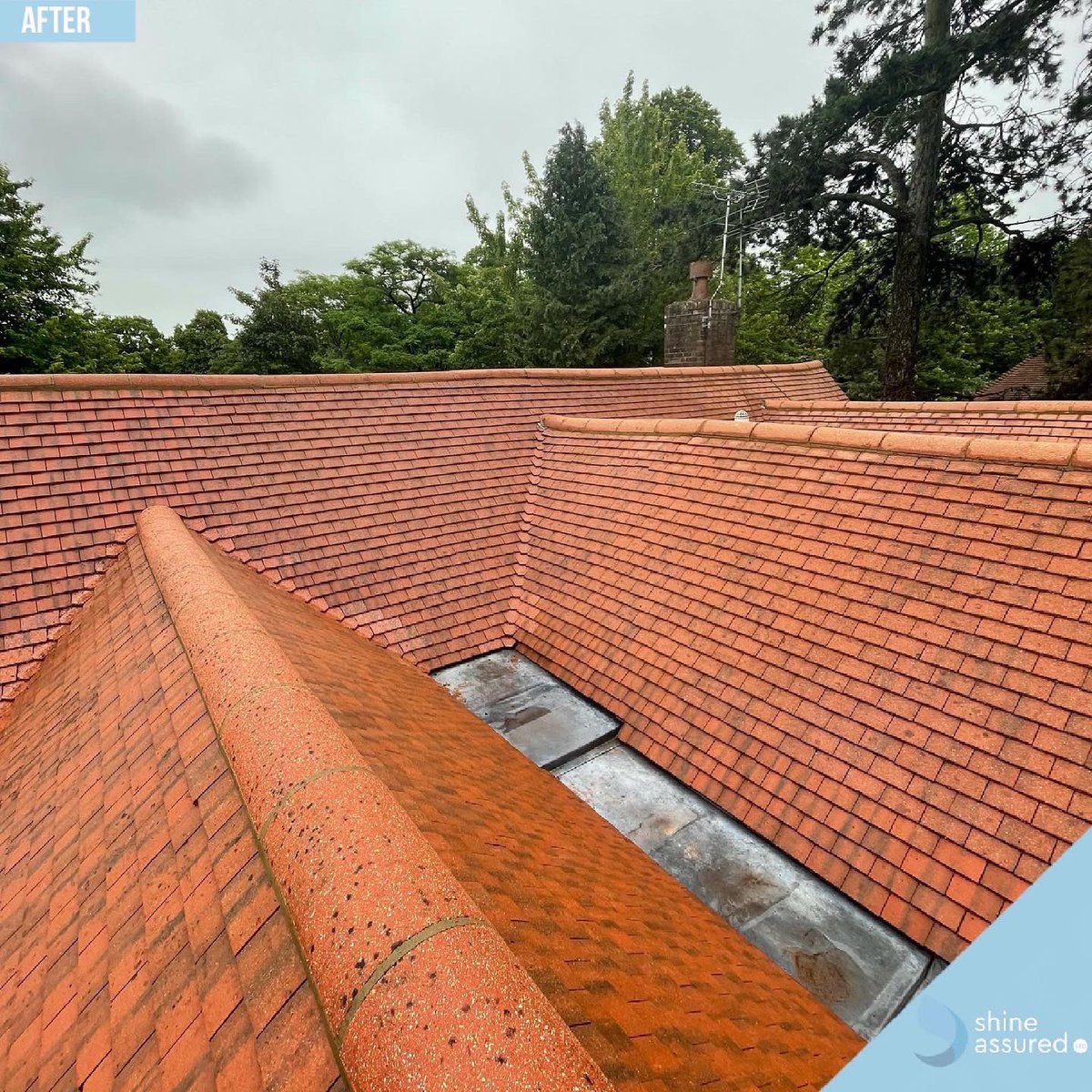 This weekend we completed this roof washing job in Letchworth Garden City. The customer was absolutely amazed by the results and we also had three enquires from nearby neighbours asking for quotes to clean their roofs. 

freephone: 0800 910 1853
email: info@shineassured.com