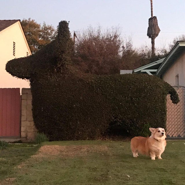 twaniimals's tweet image. 