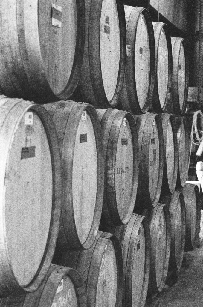 GardenPathWA's tweet photo. Happy Father's Day! Bring your dad out for a pint, he deserves it. We're open today from 12-7!
#fathersday #beer4dads #nativeyeast #pintsforpops https://t.co/Es5hxvV1jl