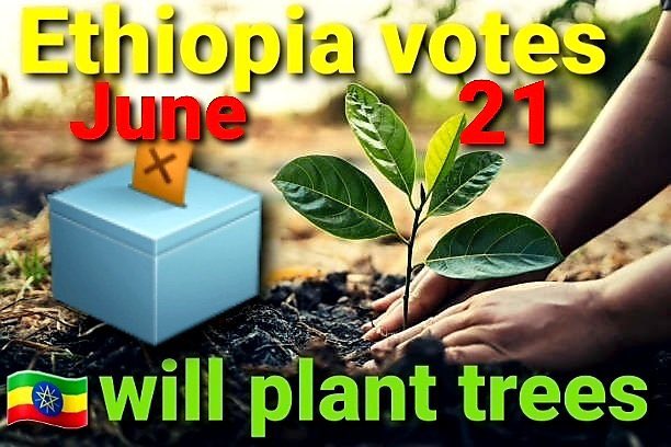 ObinnaWaGikomba's tweet photo. I'm proud to be associated with our friends #Ethiopians & their trailblazing culture.
#EthiopiaDecides in historic & unique way under mantra #OneVoteOneTree to catalyse peace & renaissance.
#Kenya is glued to #EthiopiaElection2021 to see how #EthiopiaElects to borrow lessons. https://t.co/1HkrZP8bbc